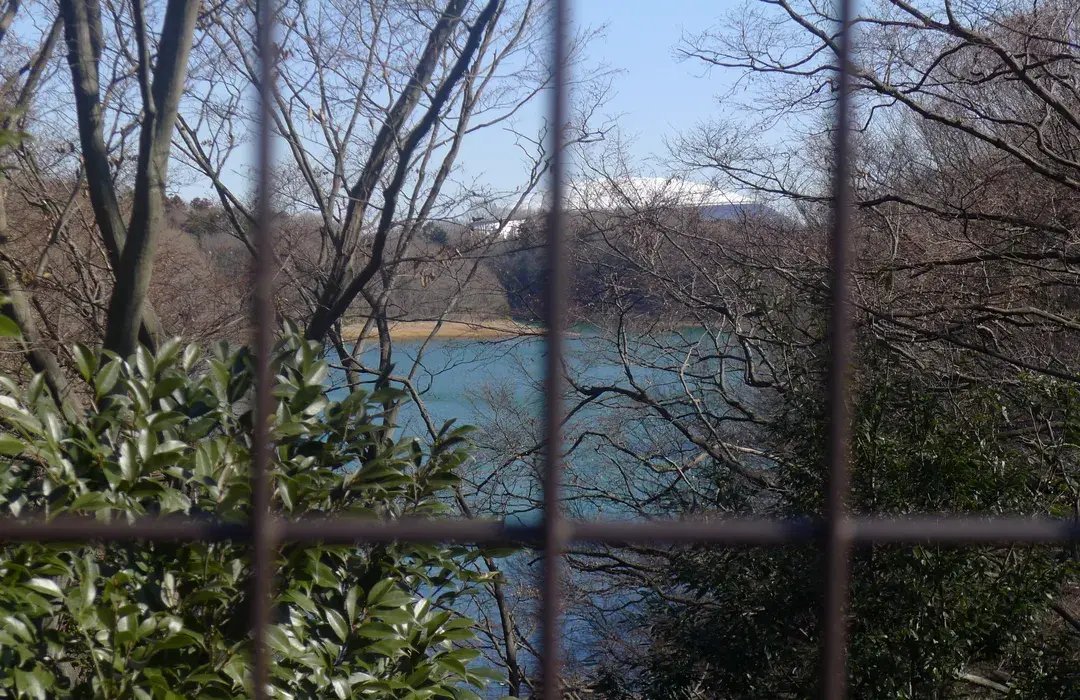 🏞️ 노야마키타・로쿠도산 공원 (노야마키타・로쿠도야마 코엔) 이미지 4